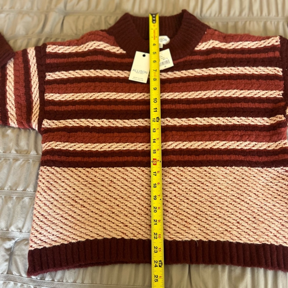 Striped Burgundy and Pink Sweater